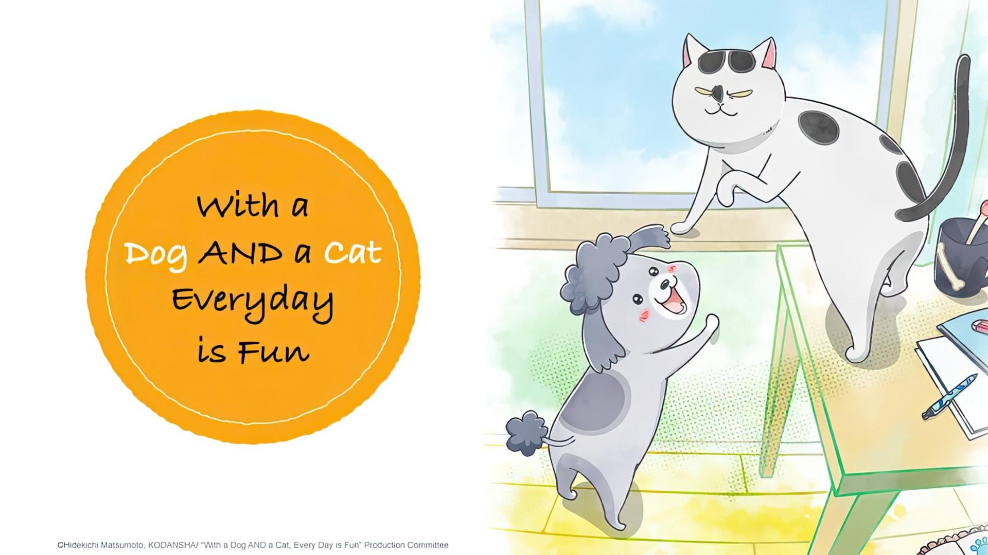 Review With a Dog AND a Cat, Every Day Is Fun