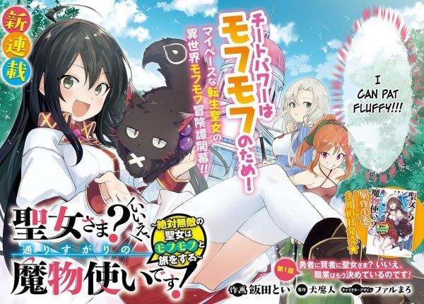 Review: Saint? No! I'm Just a Passing Beast Tamer!: The Invincible Saint and the Quest for Fluff