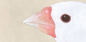 Inside Tokyo Higoro: A Cinematic Reflection on Life and Art