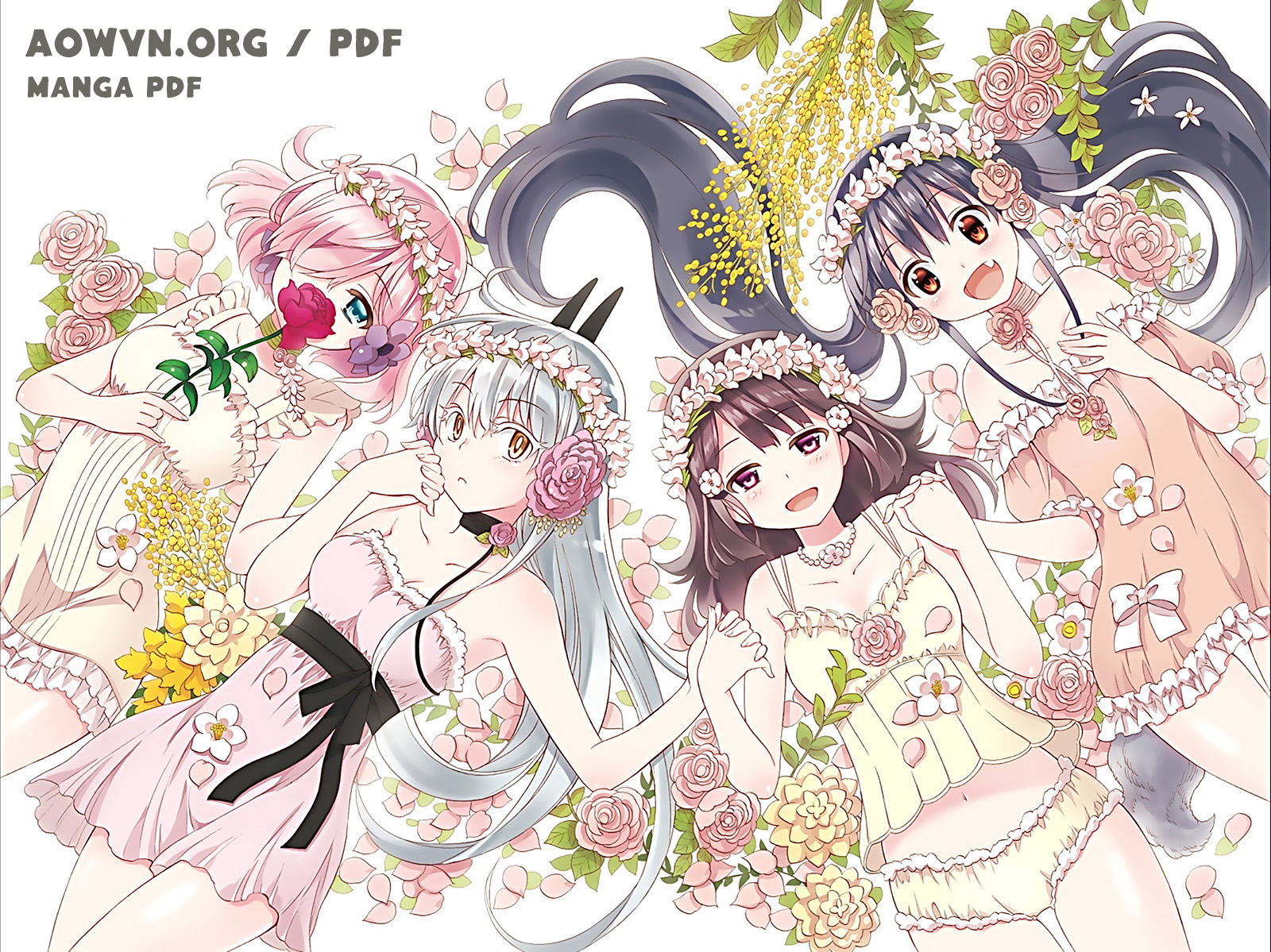 Kyou no Cerberus: Comedy, Romance, and Fantasy Review