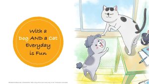 Review With a Dog AND a Cat, Every Day Is Fun